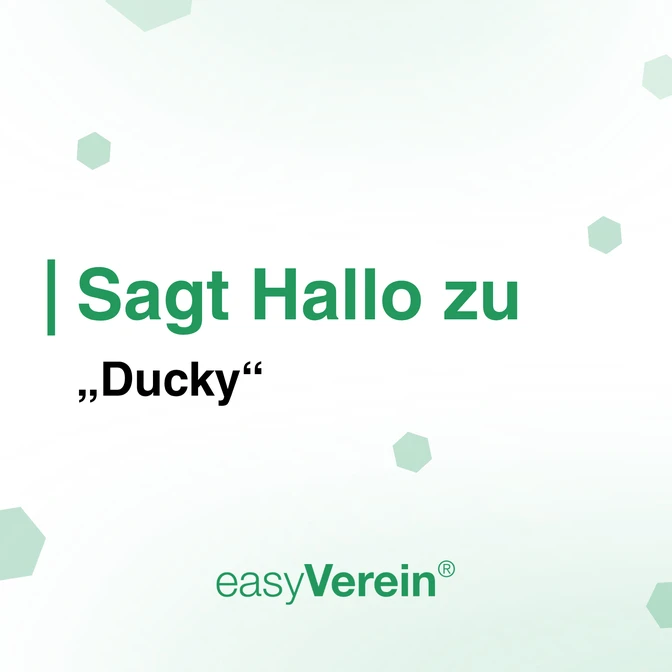 Entlastung im Ehrenamt mit easyVerein